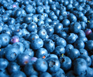 Blueberries