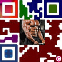 Build Abs Fast QR Code